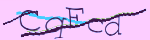 Enter the character string shown in the picture