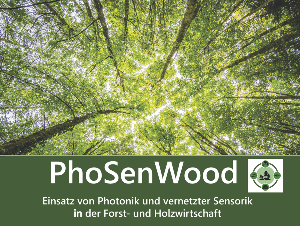 PhoSenWood